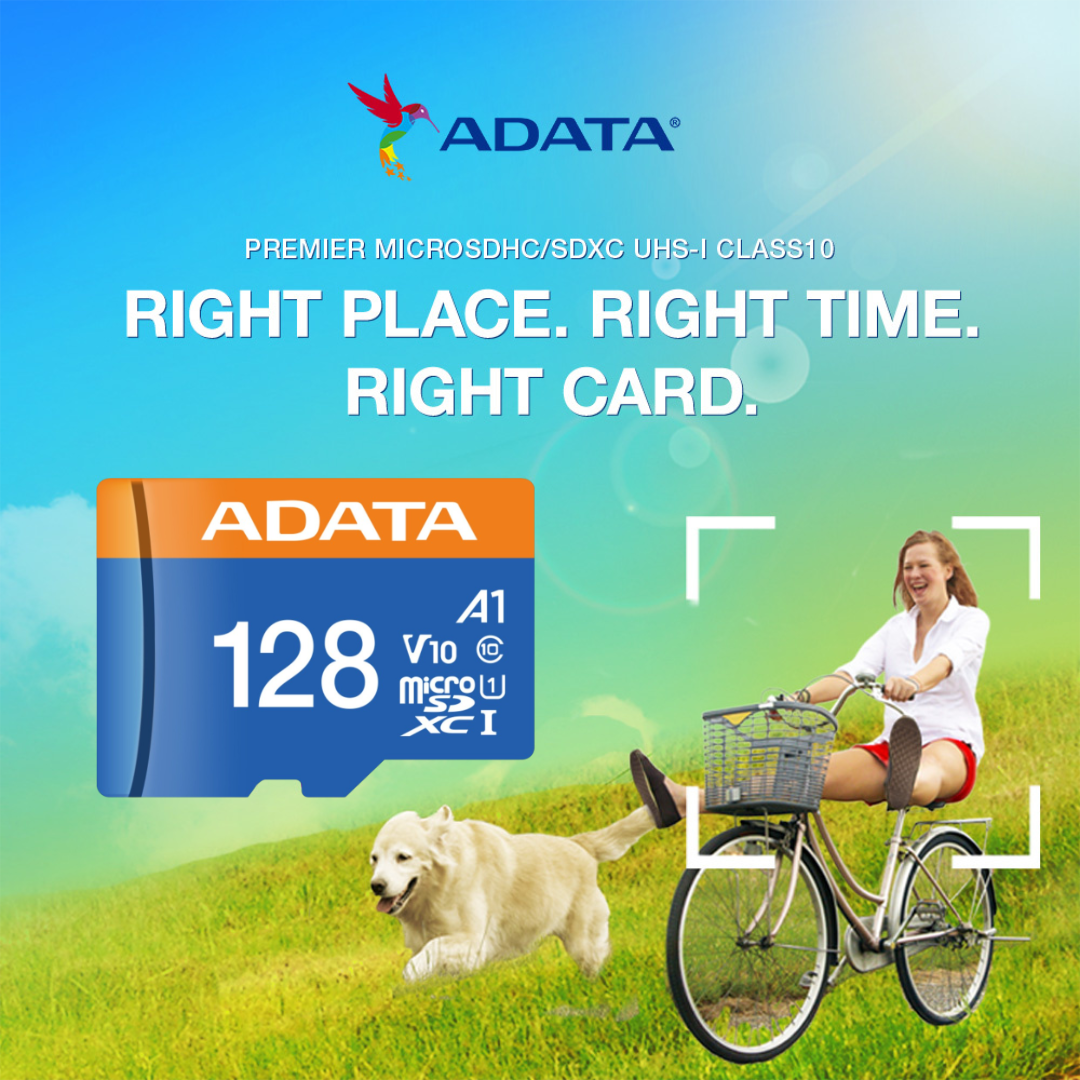 Tarjeta MicroSD Adata Premier, 128GB Memoria microSDXC UHS-I Clase 10, con Adaptador