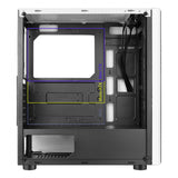 PC GAMER AMD RYZEN 5 8600G RAM 32GB M.2 1 TB RX7600 8GB 23.8" ROSA